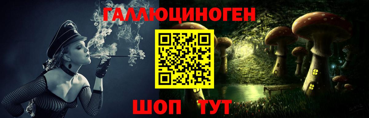 Псилоцибиновые грибы Psilocybine cubensis  Вход с VPN  Елабуга 